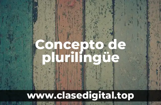 Concepto de plurilingüe