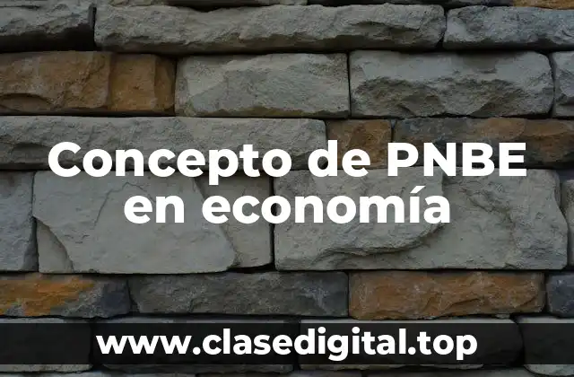 Concepto de PNBE en economía