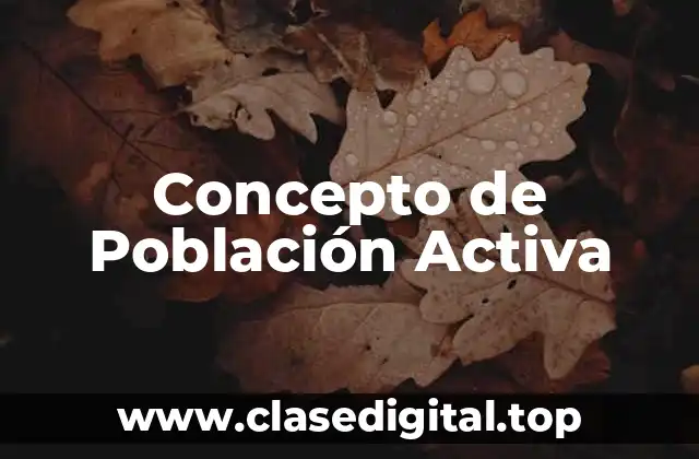 Concepto de Población Activa