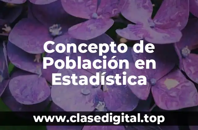 Concepto de Población en Estadística