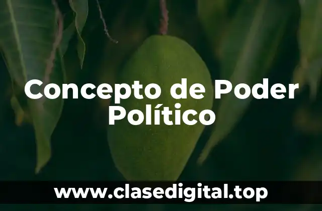 Concepto de Poder Político