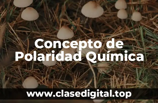 📗 Concepto de Polaridad Química