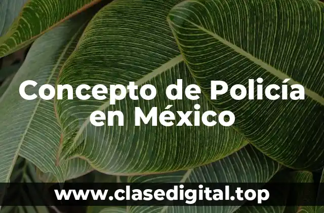 Concepto de Policía en México