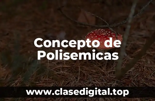 Concepto de Polisemicas