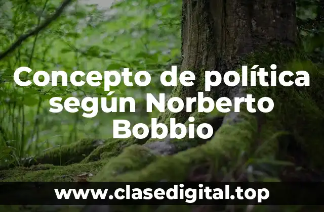 Concepto de política según Norberto Bobbio