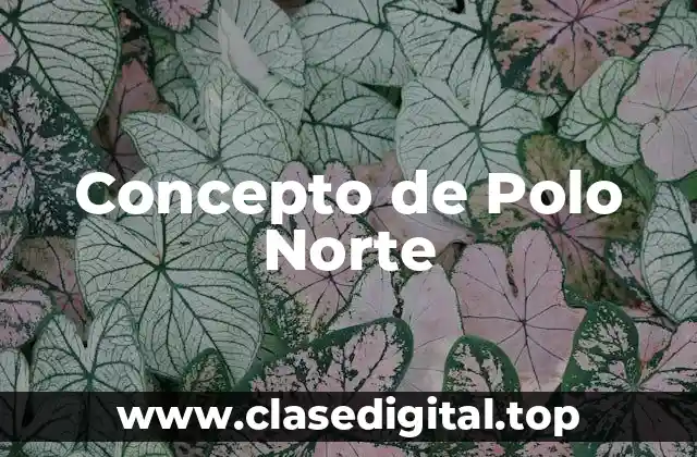 Concepto de Polo Norte