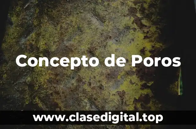 Concepto de Poros