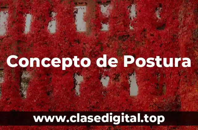 Concepto de Postura