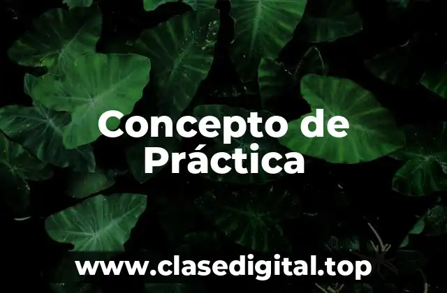 Concepto de Práctica