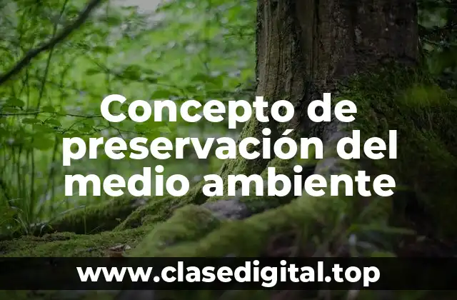 Concepto de preservación del medio ambiente