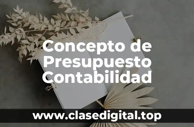 Concepto de Presupuesto Contabilidad