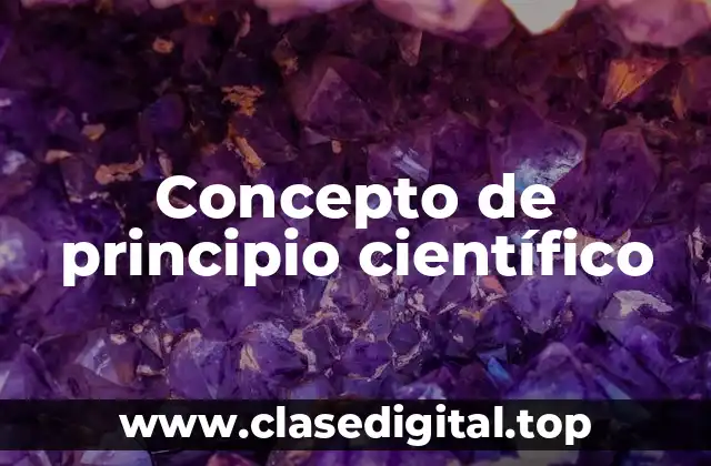 Concepto de principio científico