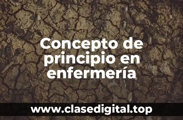 Concepto de principio en enfermería