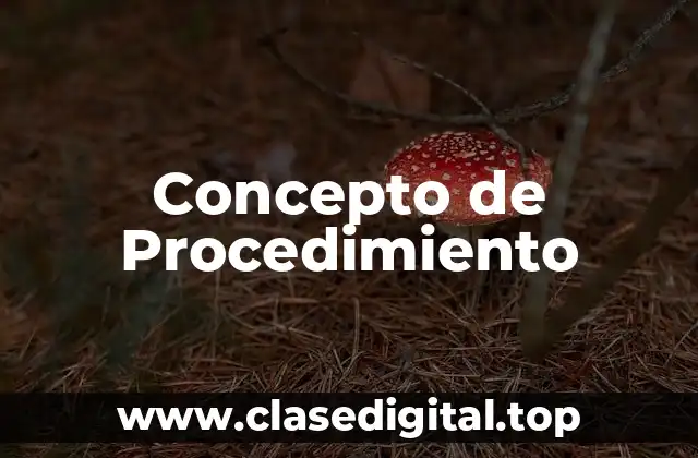 Concepto de Procedimiento