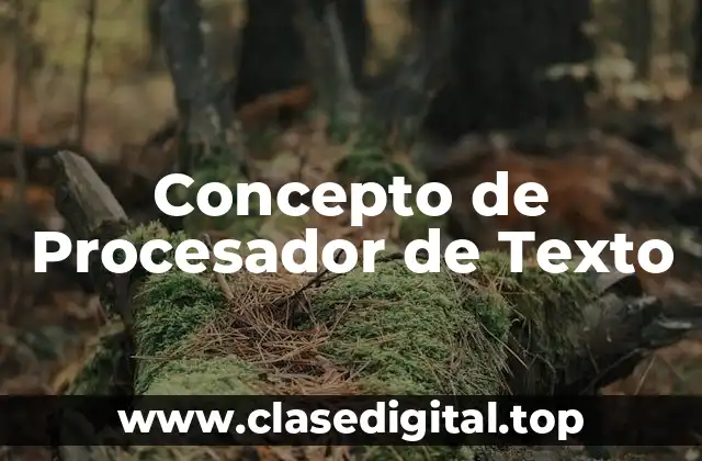 Concepto de Procesador de Texto