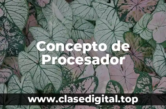 Concepto de Procesador