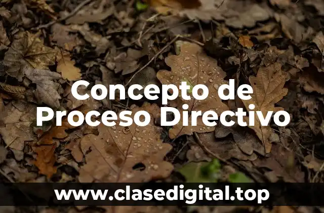 Concepto de Proceso Directivo