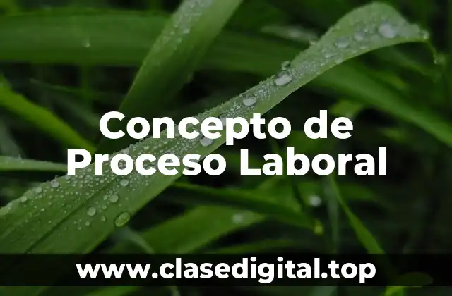 Concepto de Proceso Laboral