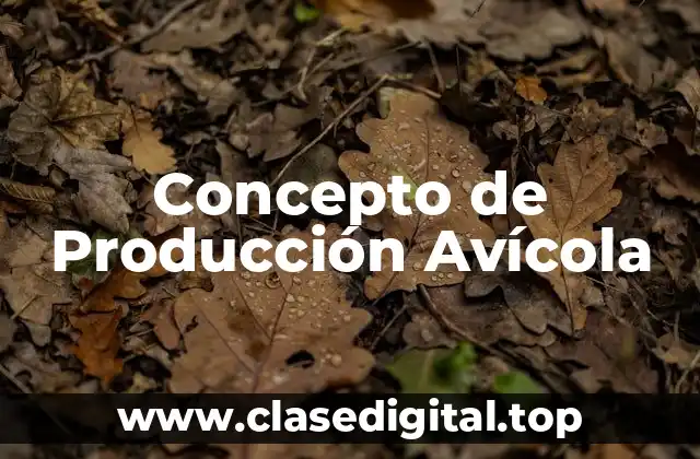 Concepto de Producción Avícola
