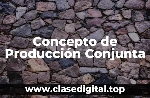 Concepto de Producción Conjunta