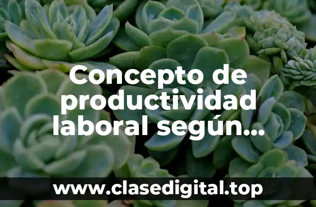 Concepto de productividad laboral según autores