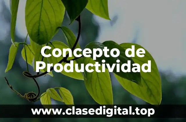 Concepto de Productividad