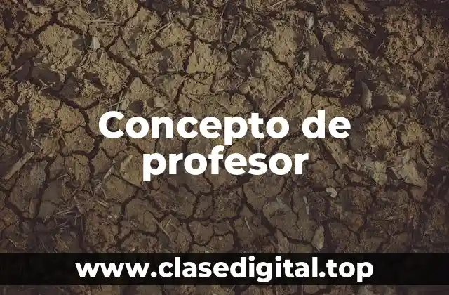 Concepto de profesor