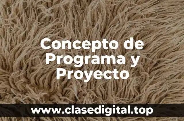 Concepto de Programa y Proyecto