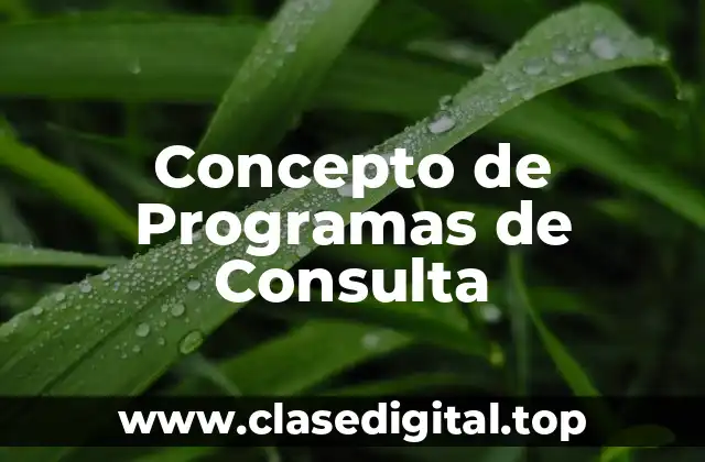 Concepto de Programas de Consulta