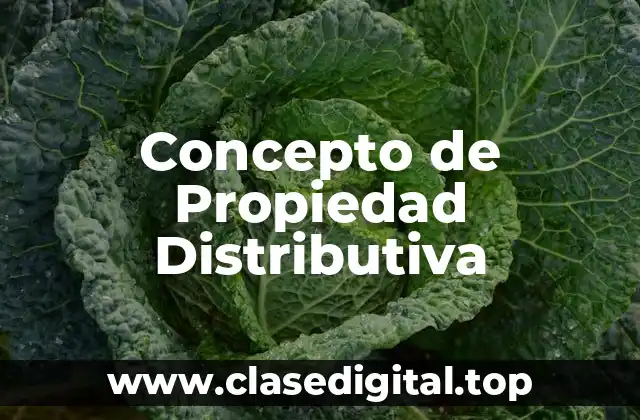 Concepto de Propiedad Distributiva