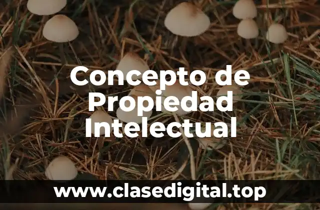 Concepto de Propiedad Intelectual