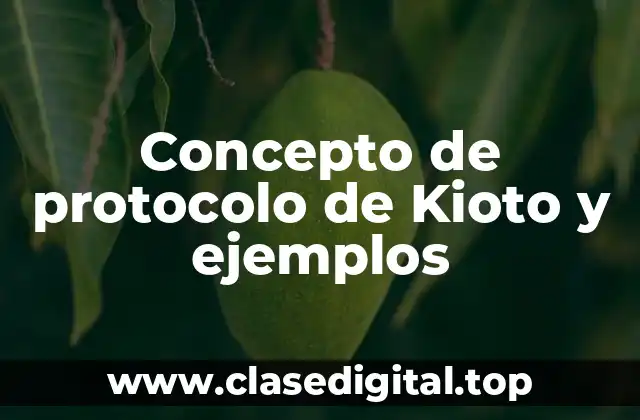 Concepto de protocolo de Kioto y ejemplos