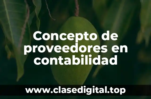 Concepto de proveedores en contabilidad