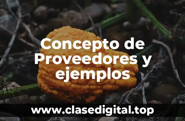 Concepto de Proveedores y ejemplos