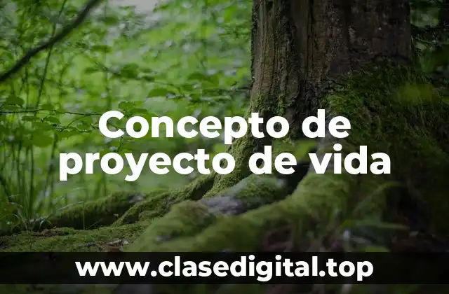 Concepto de proyecto de vida
