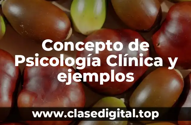 📗 Concepto de Psicología Clínica
