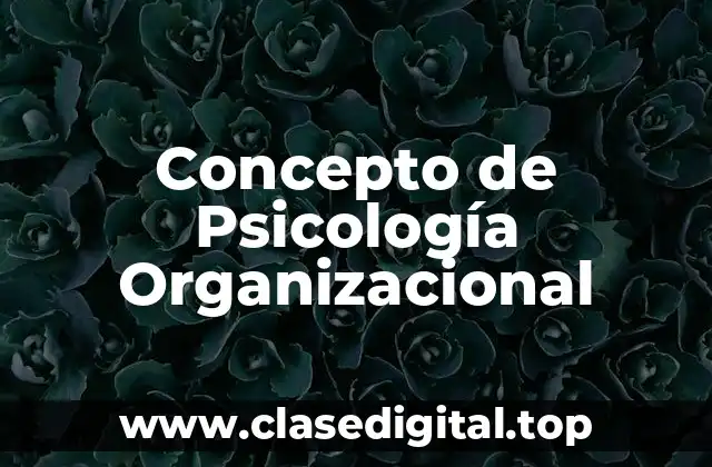 📗 Concepto de Psicología Organizacional