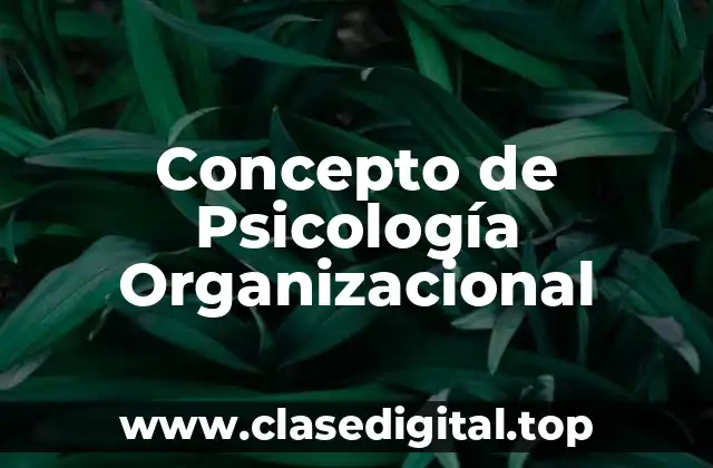 ✔️ Concepto de Psicología Organizacional
