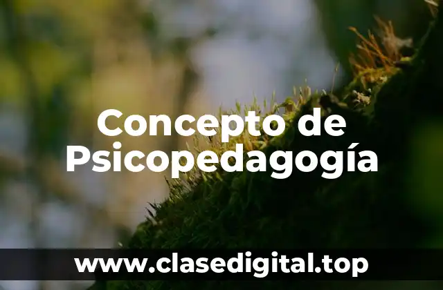 📗 Concepto de Psicopedagogía