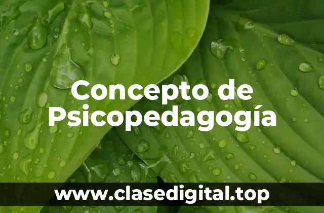 Concepto de Psicopedagogía