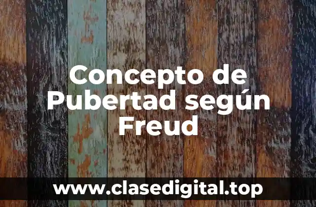 Concepto de Pubertad según Freud