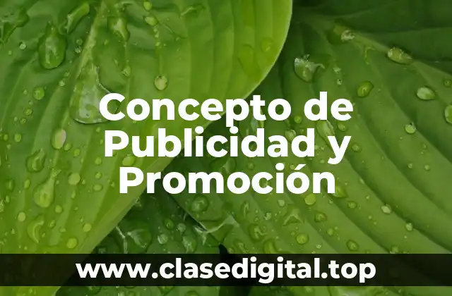 Concepto de Publicidad y Promoción