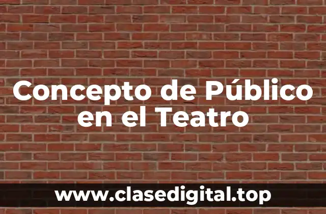 Concepto de Público en el Teatro