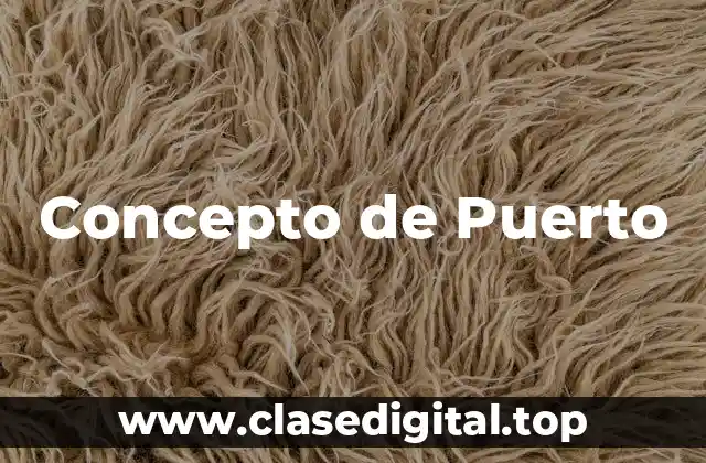 Concepto de Puerto