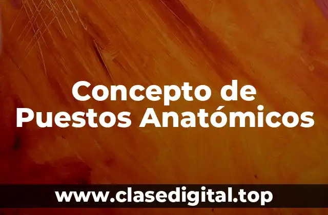 Concepto de Puestos Anatómicos