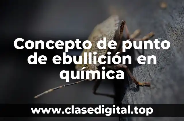 Concepto de punto de ebullición en química