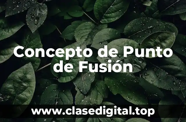 Concepto de Punto de Fusión