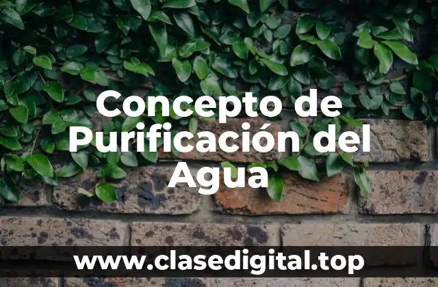 Concepto de Purificación del Agua