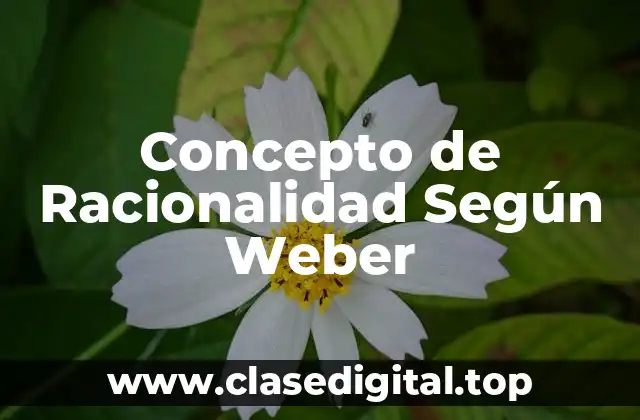 Concepto de Racionalidad Según Weber
