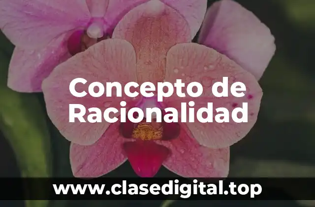 Concepto de Racionalidad